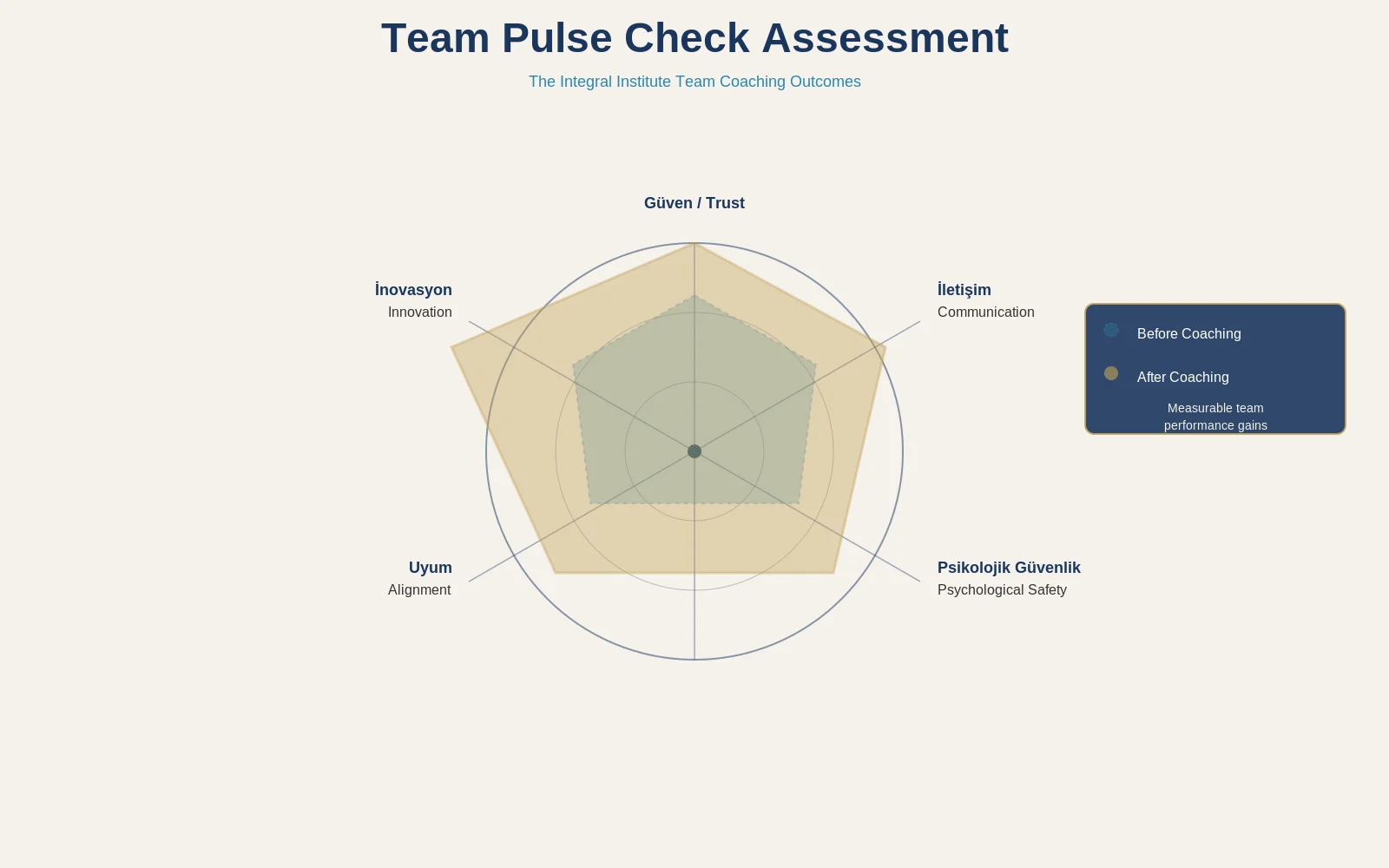 Team Assessment Radar