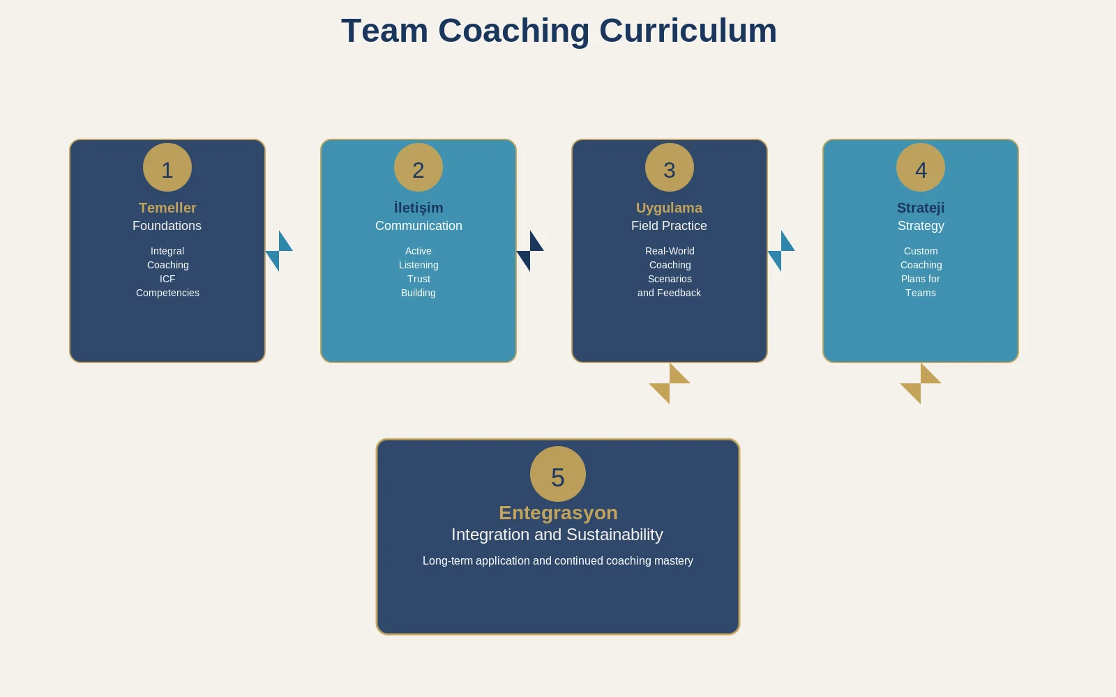 Team Coaching Modules